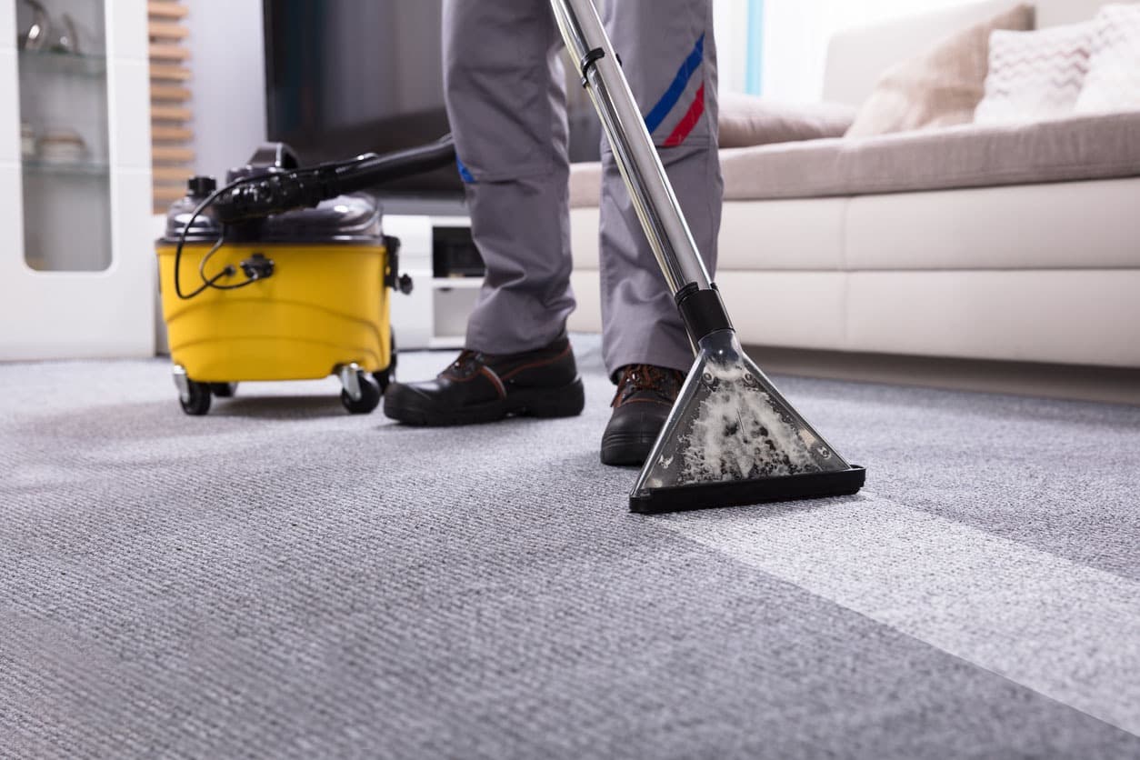 Safe &amp; Effective Pet Odor Carpet Cleaning | Guardian Carpet Cleaning