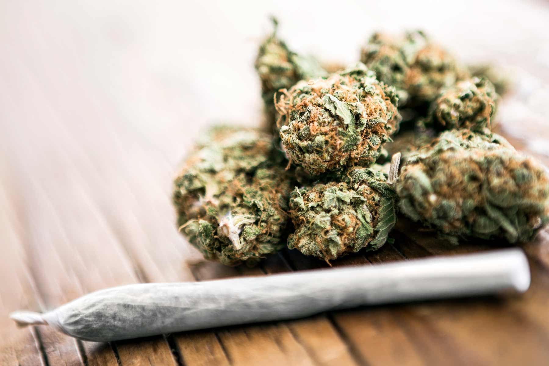 Csc hamburg – Blütenbande e.V. Cannabis Social Club