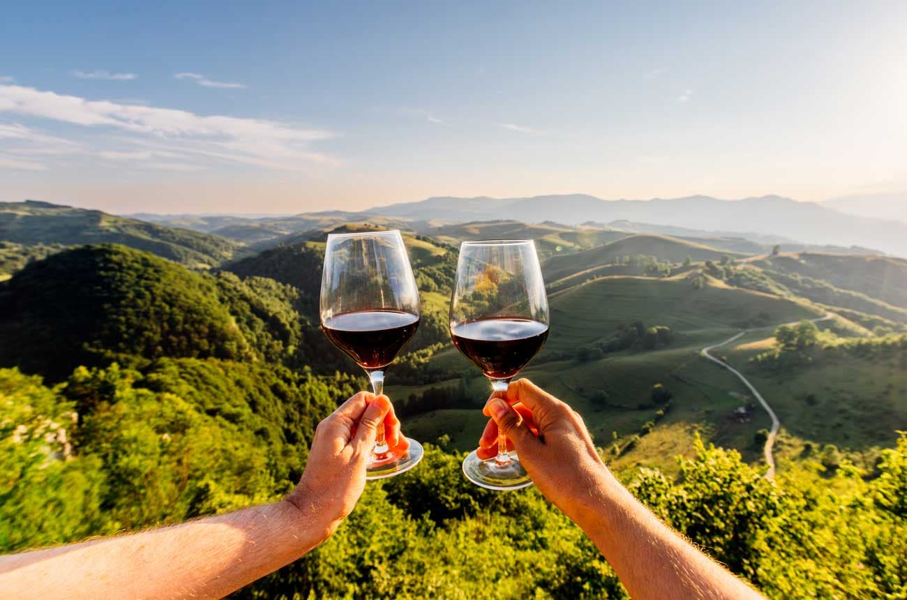 Luxury Limo Wine Tasting Tours for VIP Experiences