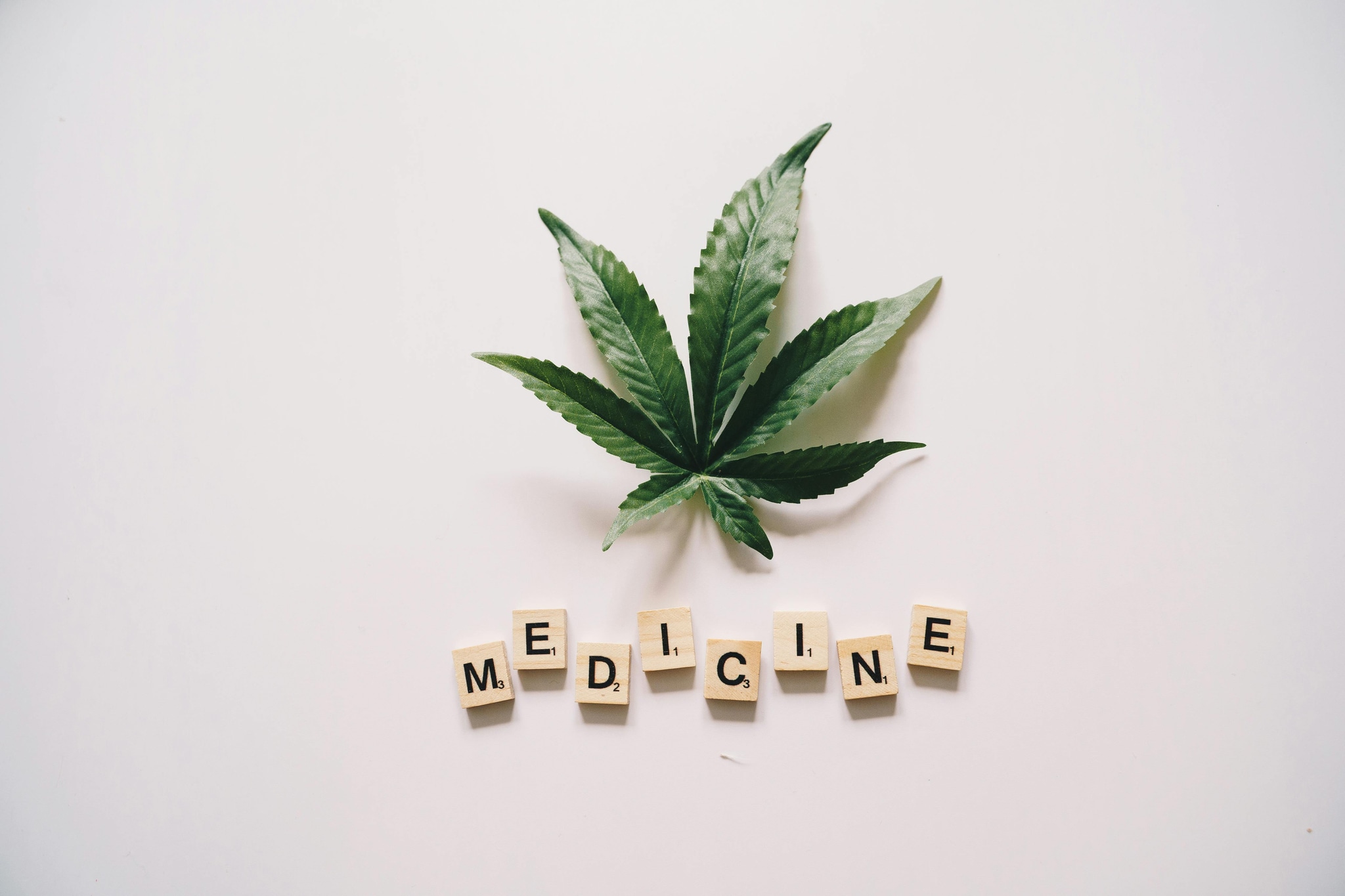 THE SCIENCE BEHIND CANNABIS: CANNABINOIDS, TERPENES, AND MORE