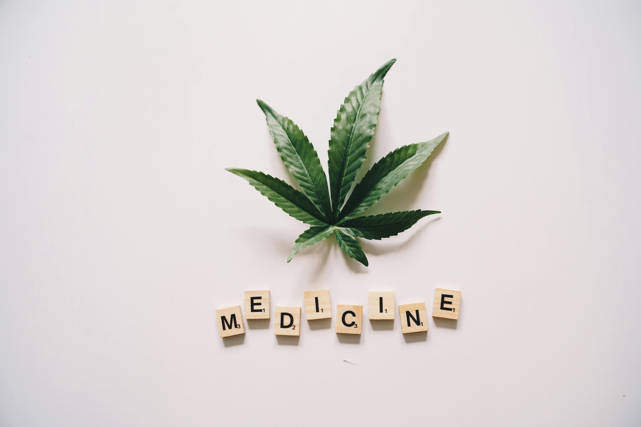 THE SCIENCE BEHIND CANNABIS: CANNABINOIDS, TERPENES, AND MORE