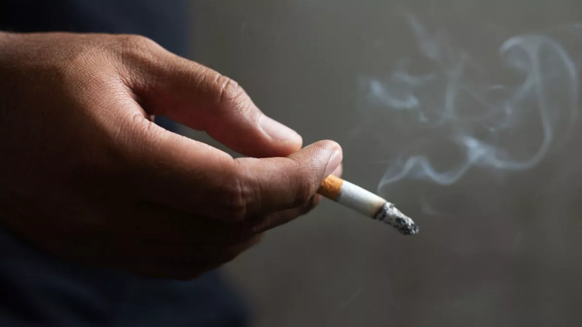 Shop Belmont Cigarettes Confidently at My Native Smokes