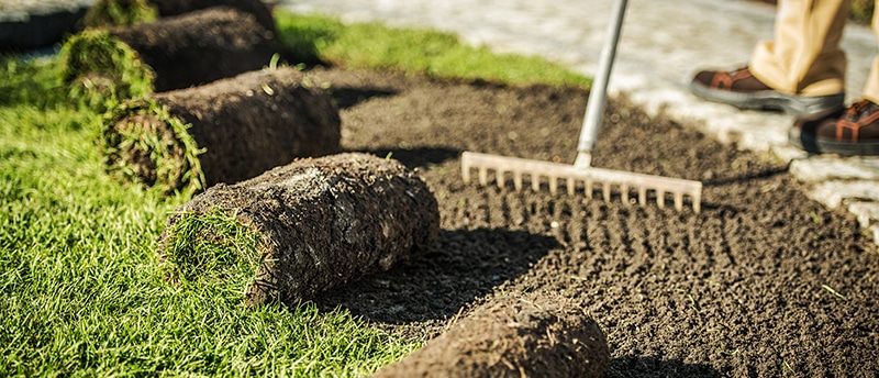 Transform Your Yard with Expert Sod Installation Services