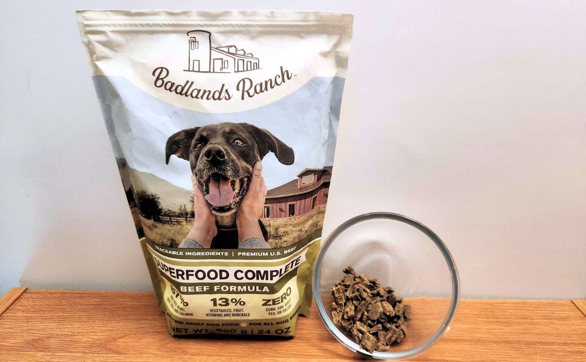 Why Dr Martys Dog Food Is a Favorite Among Pet Nutritionists