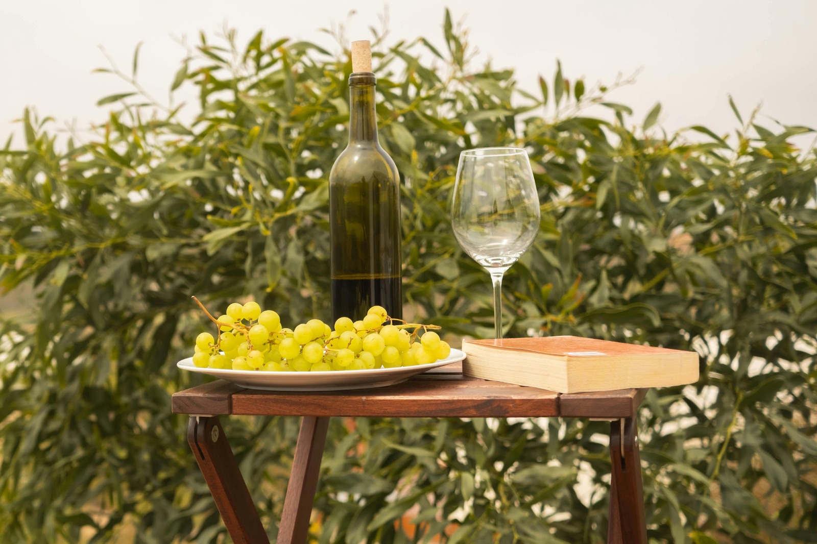 Exclusive Perks You Get with a Winery Membership