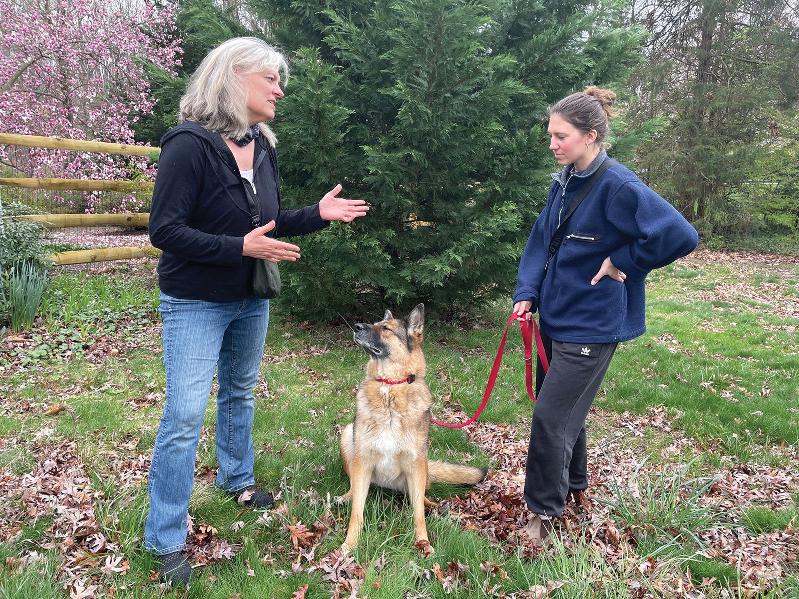 Boot Camp Dog Training: Transform Your Pet’s Behavior Fast