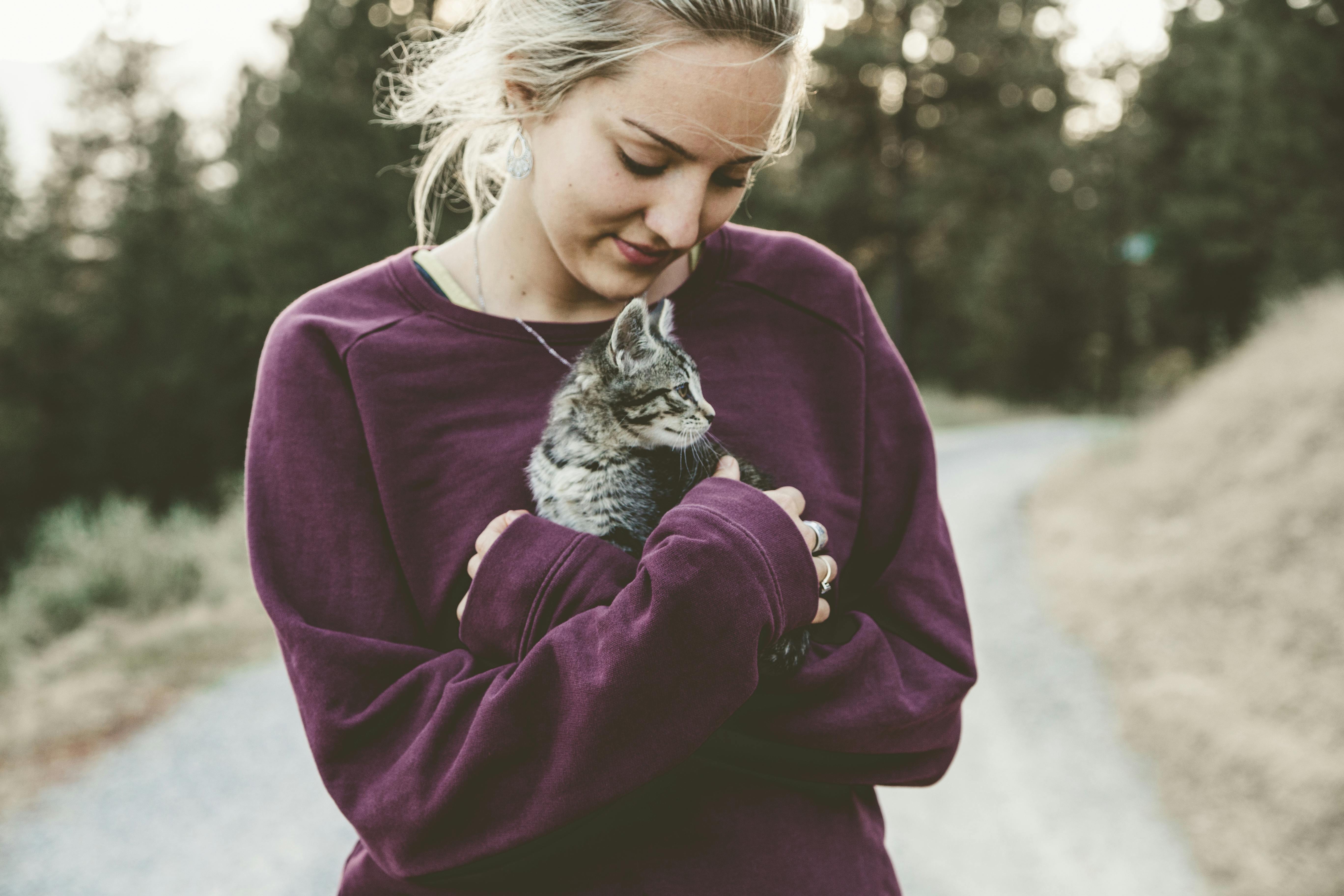 Healthy Maine Coon Kittens for Sale San Francisco and Northern California