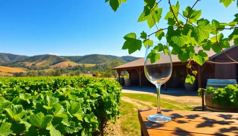 Enjoy the serene vineyards at Winery Sacramento surrounded by rustic beauty and vibrant nature.