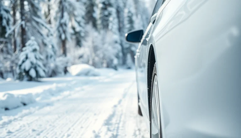 PPF winter road salt protection reflects shiny vehicle detail amidst winter scenery.